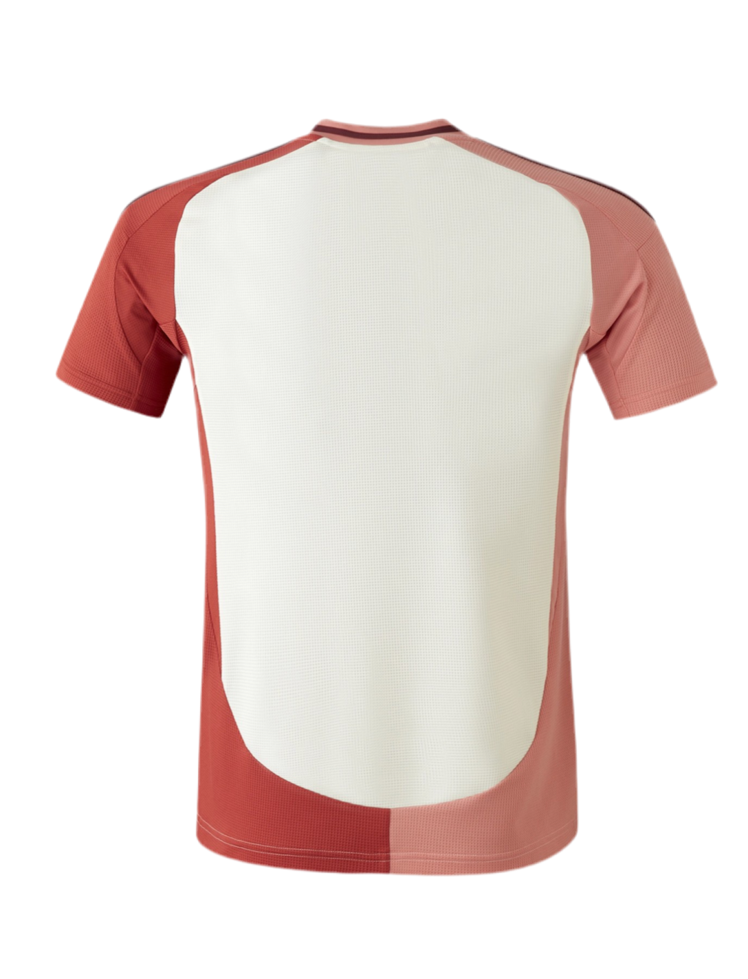 Camiseta Lyon 2024/2025